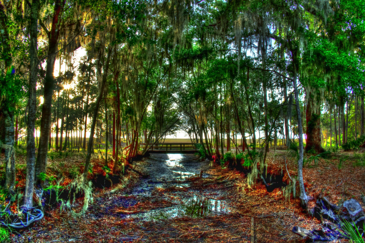 img_1419 -1_20 -1_21 -1_tonemapped_use_sm.jpg
