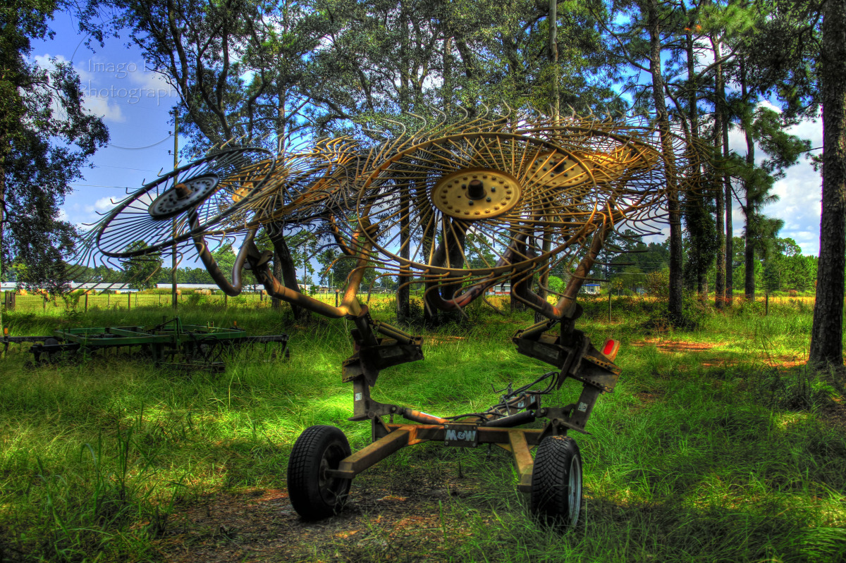 _mg_4313_4_5_tonemapped_watermark.jpg