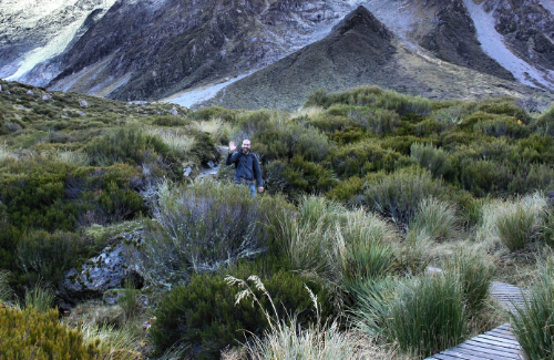 A really nice guy traveling alone in New Zealand apologized for getting in my picture but I told him "Don't be silly!" and we had a nice little chat. &nbsp;