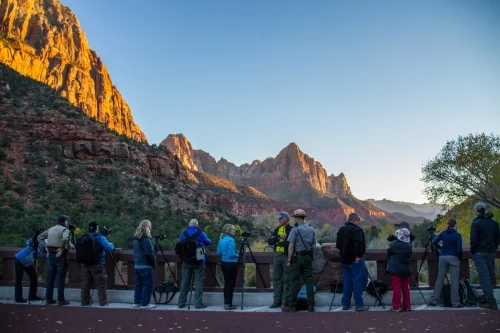 Photographers crowd over the Virgin River in Zion National Park in Utah at sunset. &nbsp;They're some pretty&nbsp;nice people!