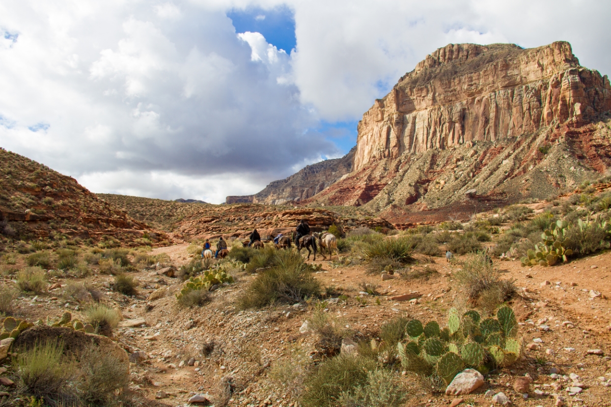 Looking back toward the start of the trailhead after being passed by horses returning to the hilltop. this is a very common sight along the hike.