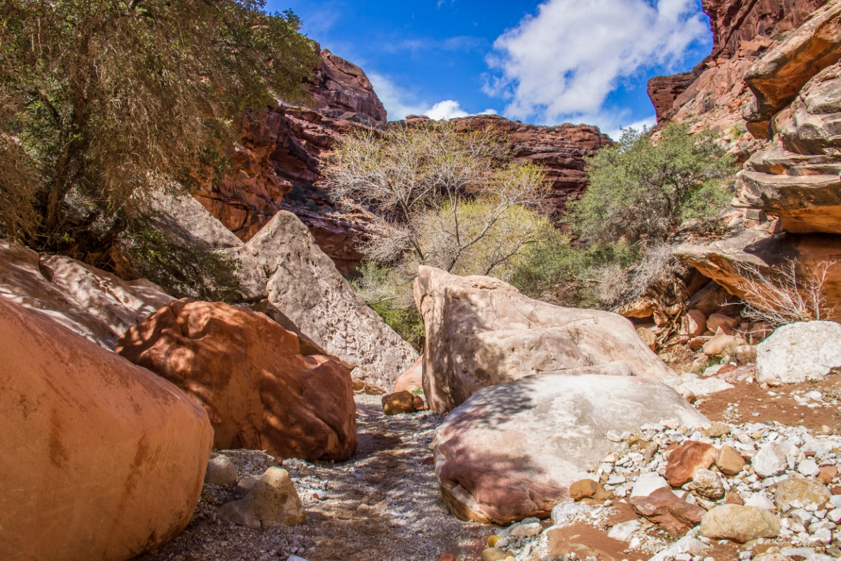 ARound the 5 mile mark into the hike....