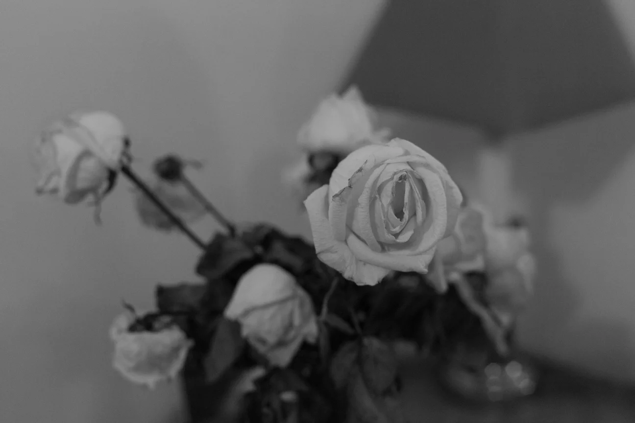 IMG_0018.jpg