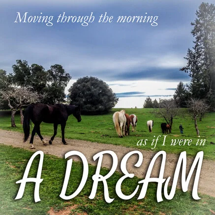 amorningDream-playlist.jpg