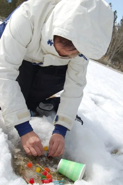 Snow 16.jpg