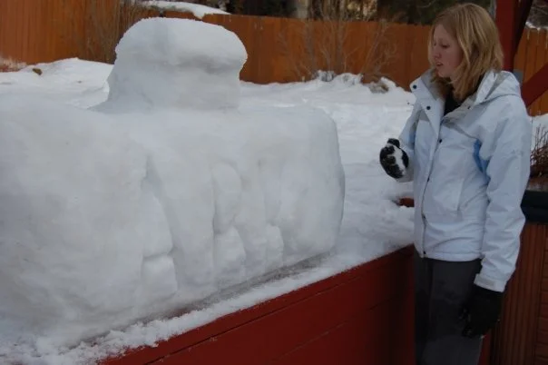 snow 37.jpg