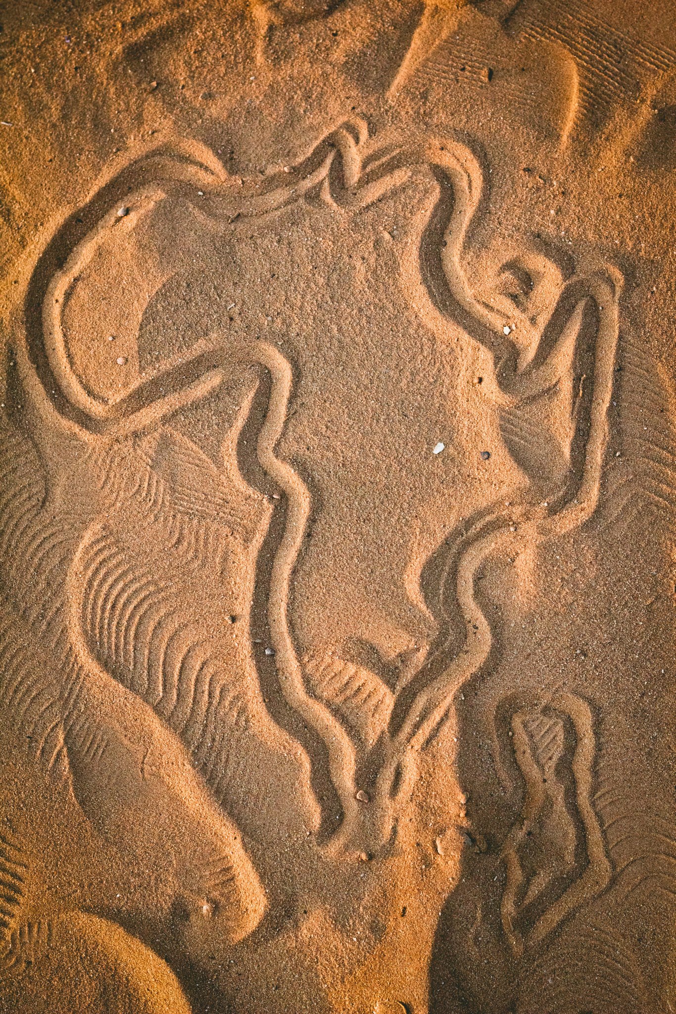 325612_10151177096119726_468161818_o.jpg