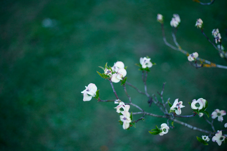 Transient
