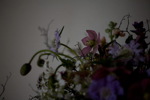 Transient