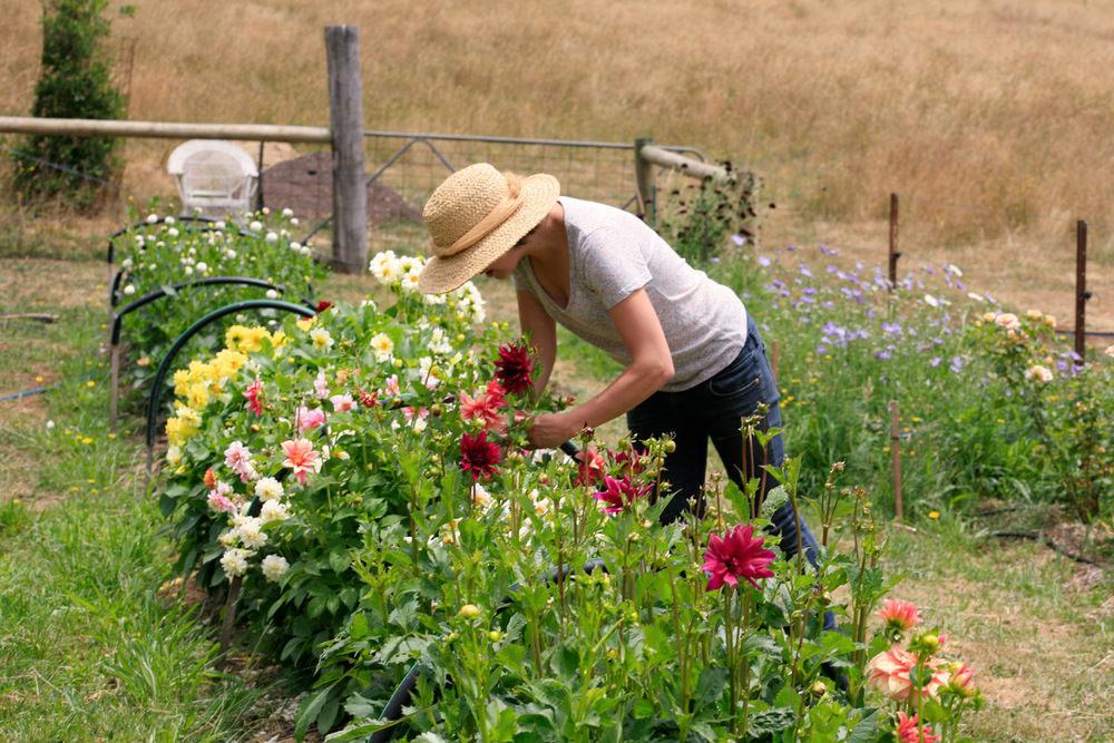 Flower Farm Lindsey Myra