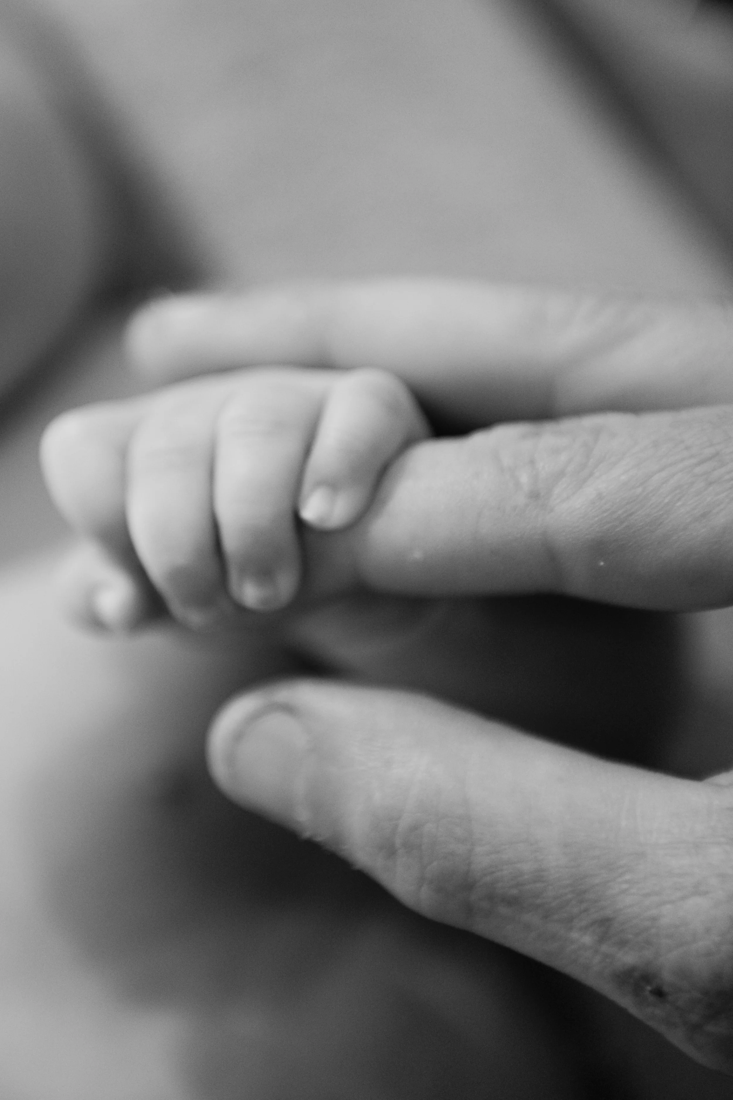 2-29.jpg