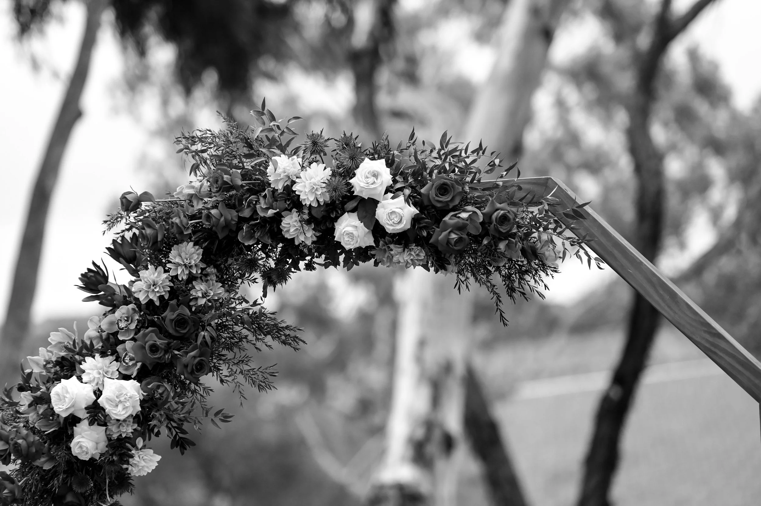 BW-085.jpg