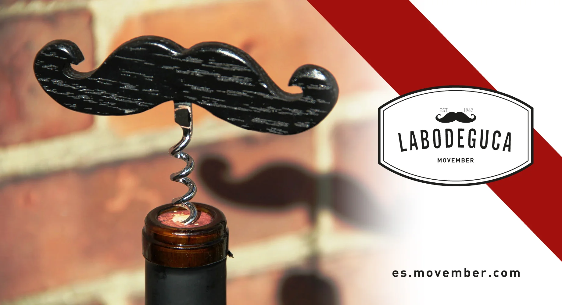 labodeguca_movember.jpg