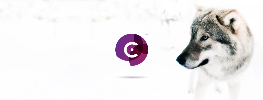 Ci_webbanner.jpg