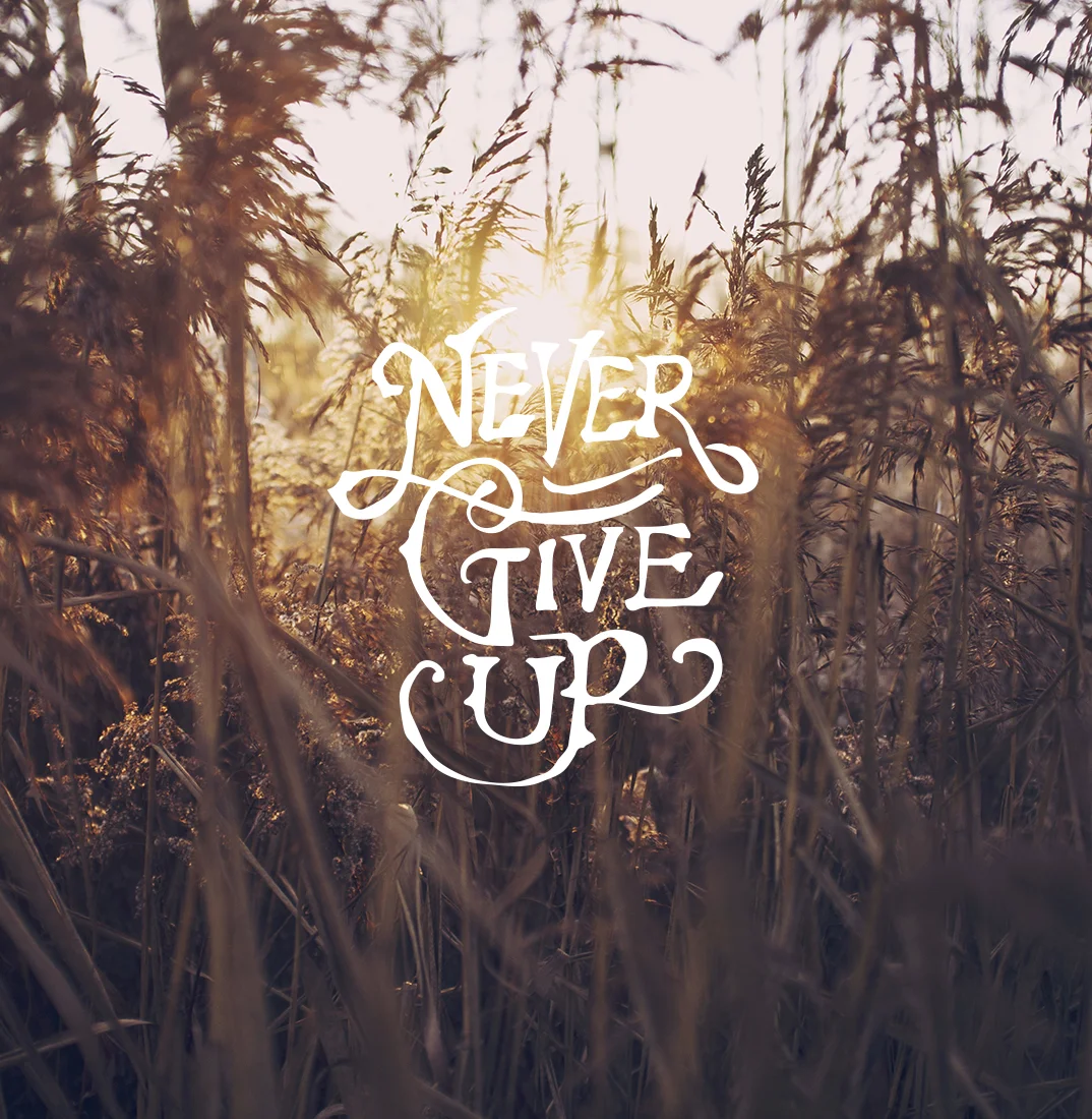 nevergiveup.jpg