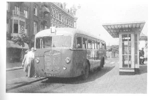 Ossenbloed