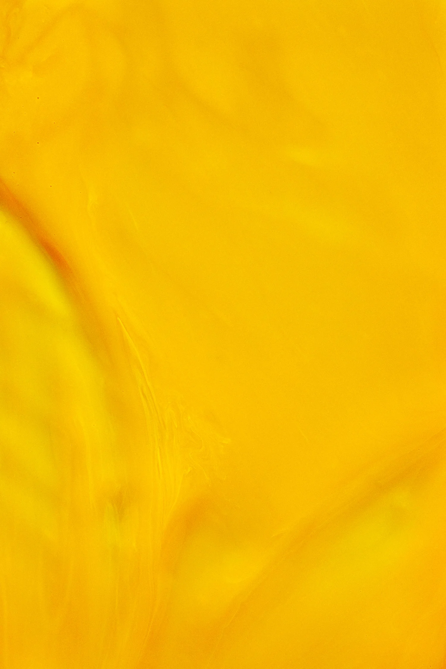 217009_CR_081c.jpg