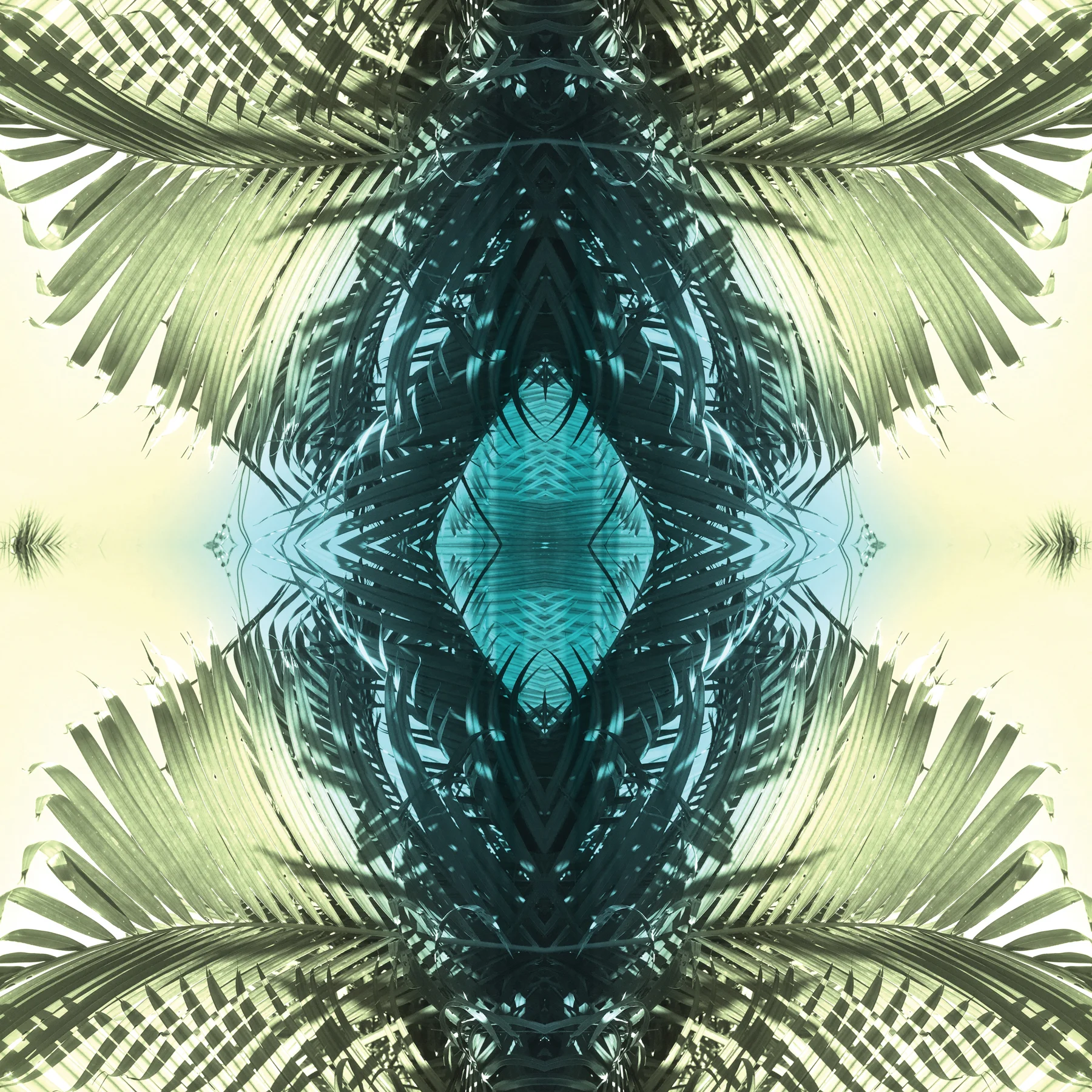 Green Palms 1 | Giclee Print by Stephanie Mill Artist | ww.stephaniemill.com.jpg