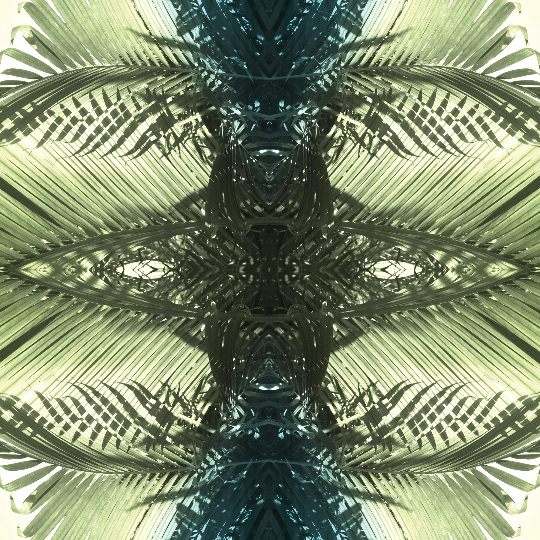 Green Palms 2 | Giclee Print by Stephanie Mill Artist | www.stephaniemill.com.jpg