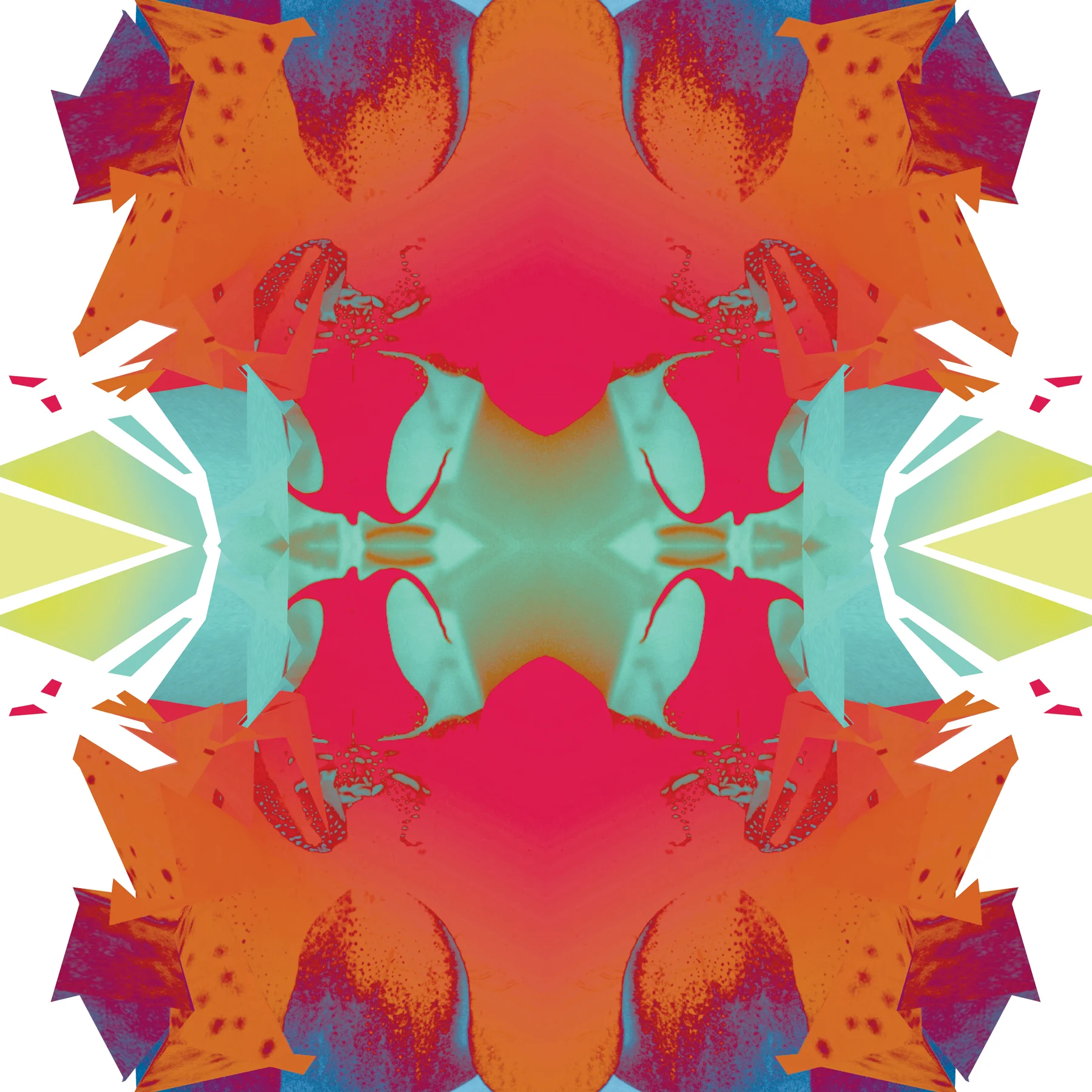 Digital Orchid 4 | Giclee Print by Stephanie Mill Artist | www.stephaniemill.com.jpg