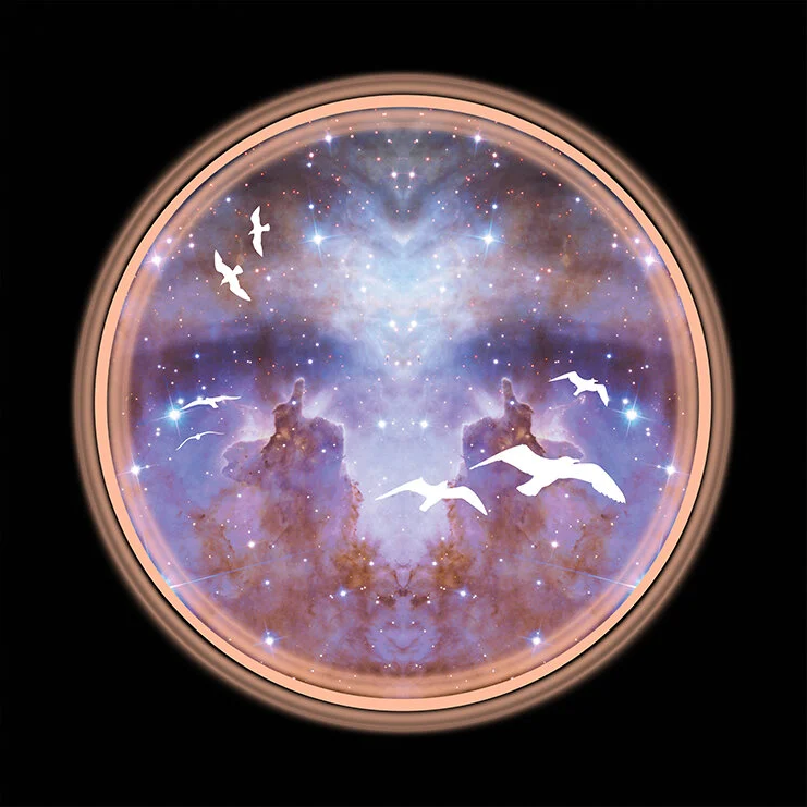 SpaceGulls 2 - PillarsOfFlight | www.stephaniemill.com