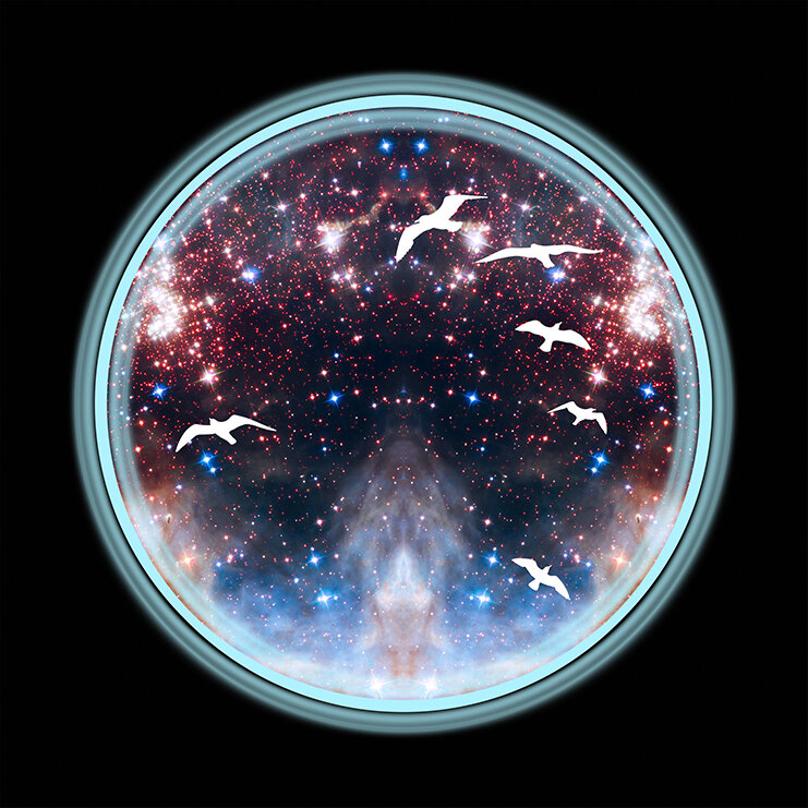 SpaceGulls 3 - The Veil of Carina | www.stephaniemill.com