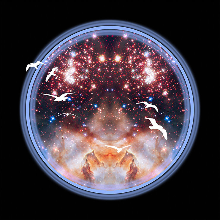 SpaceGulls 4 - Higher Planes of Existence | www.stephaniemill.com