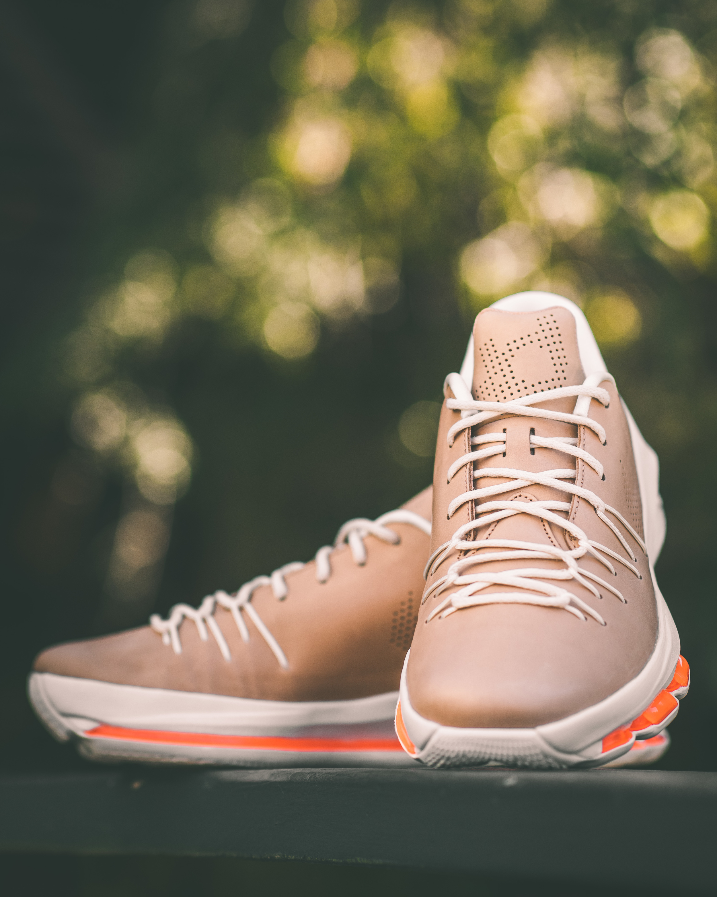 kd 8 vachetta tan