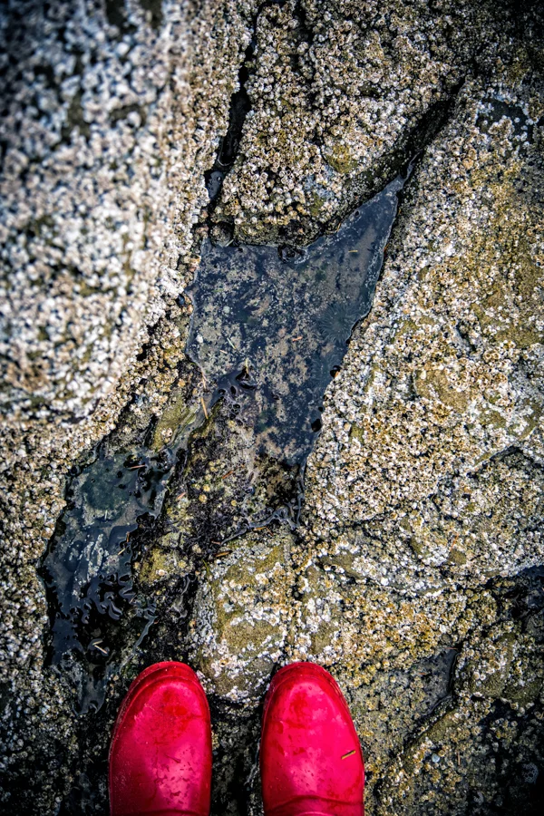 beach-day-4.jpg