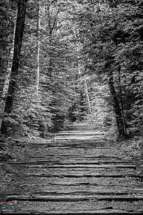 Lincoln Woods Trail - EB&R RR Line.jpg