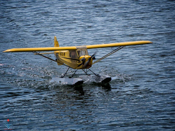 Piper Cub on Floats.jpg