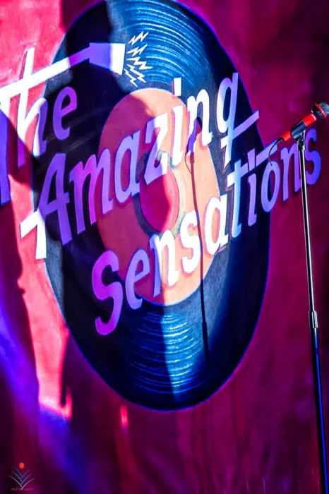 The Amazing Sensations #3.jpg