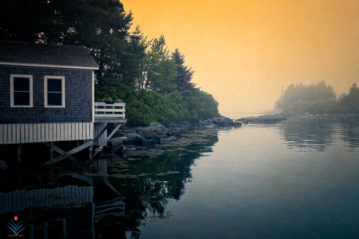 Cabbage Island Reflection.jpg