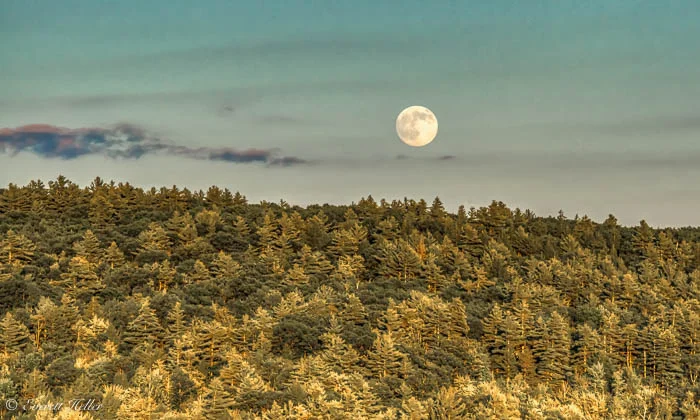 Super Moon from King Pine.jpg