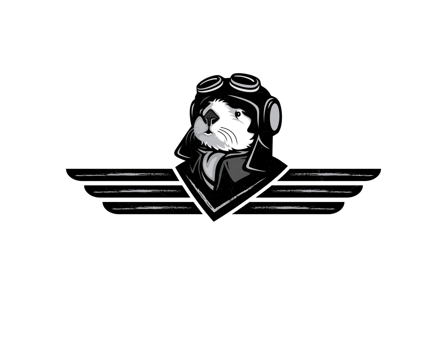 The Flying Otter