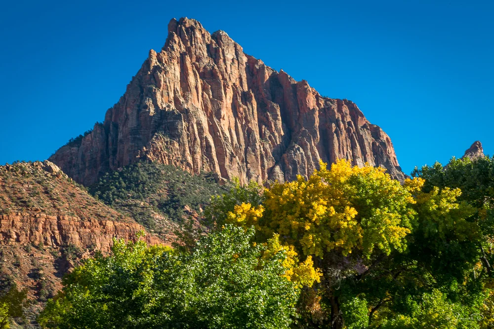 The "Watchman", stands over the Virgin River as it runs through Zion National Park
