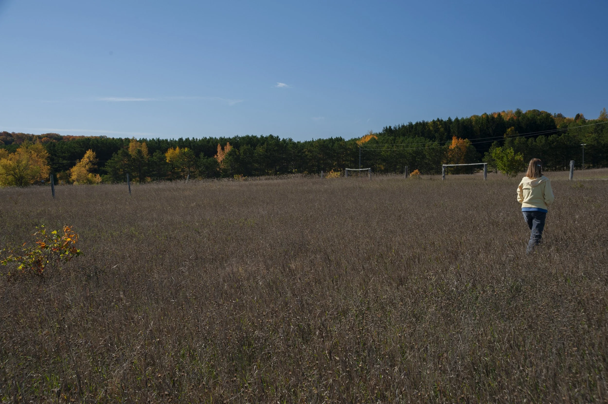 DSC_1345-1.jpg