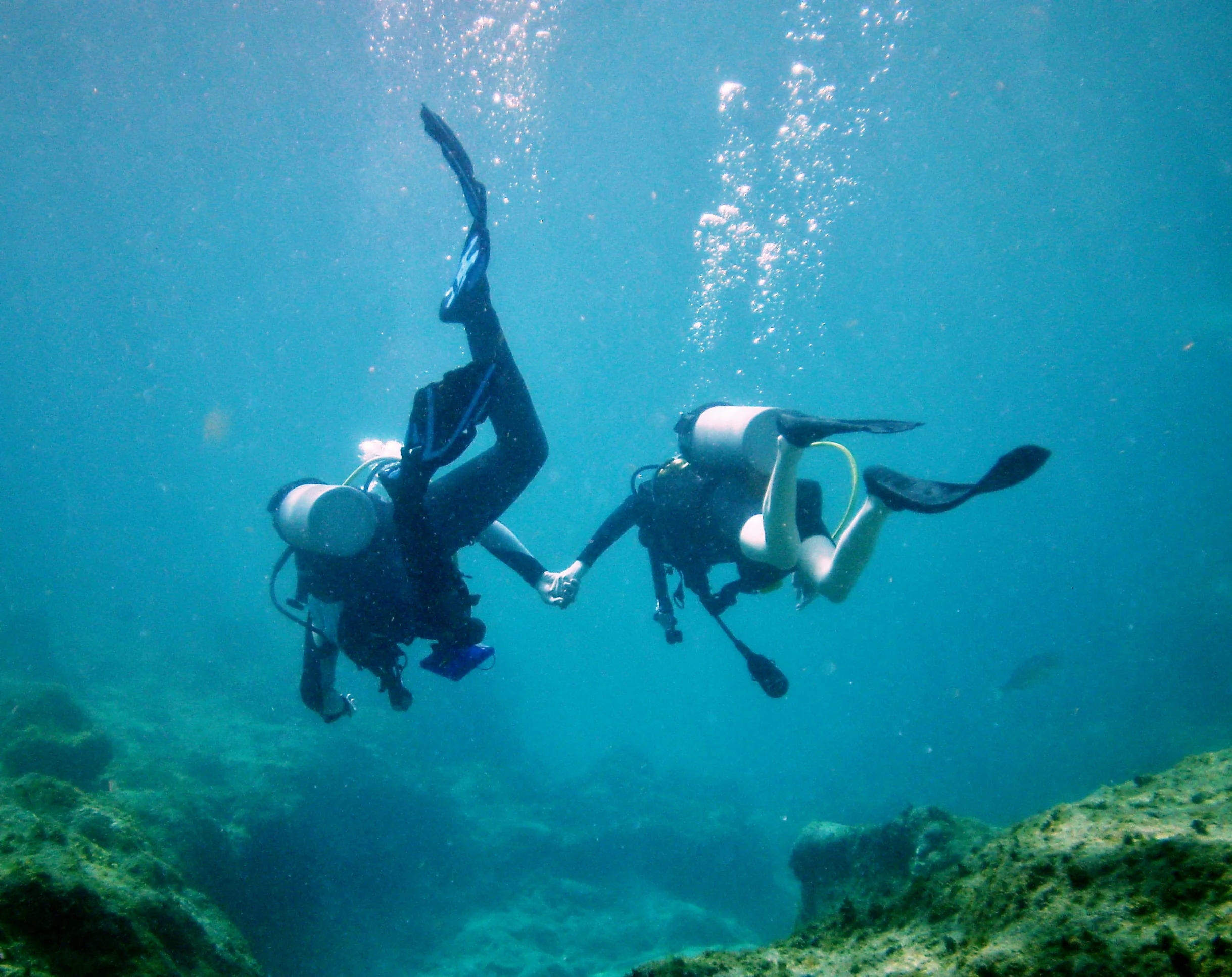 Learn to Dive 3.jpg