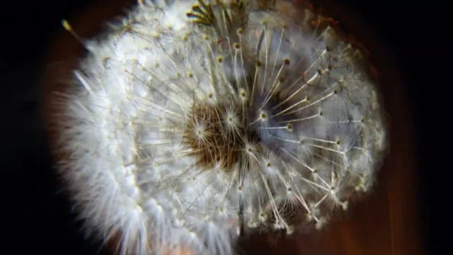 "Worth the Wait" - Jeffery Plansker