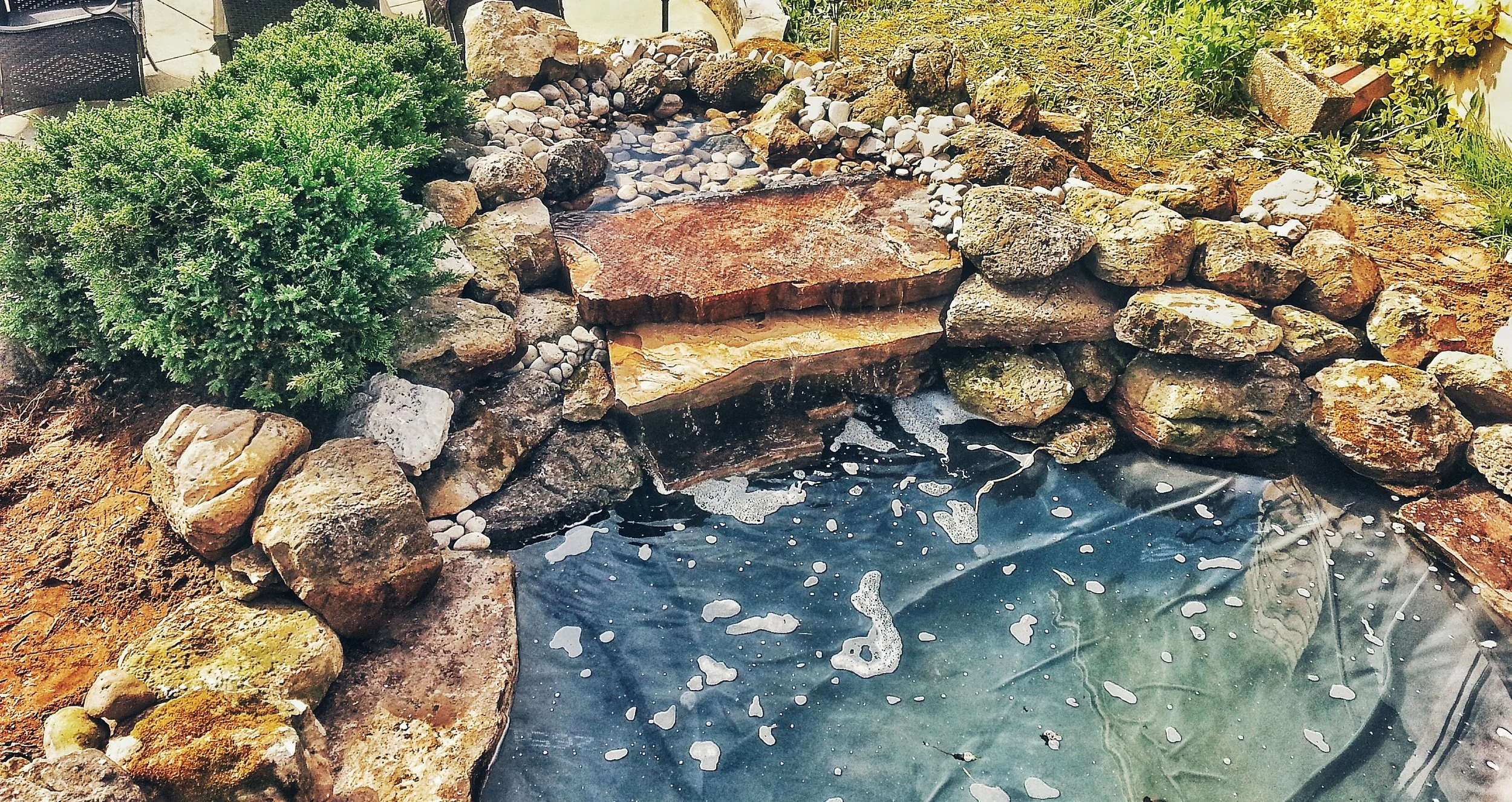 pond.jpeg