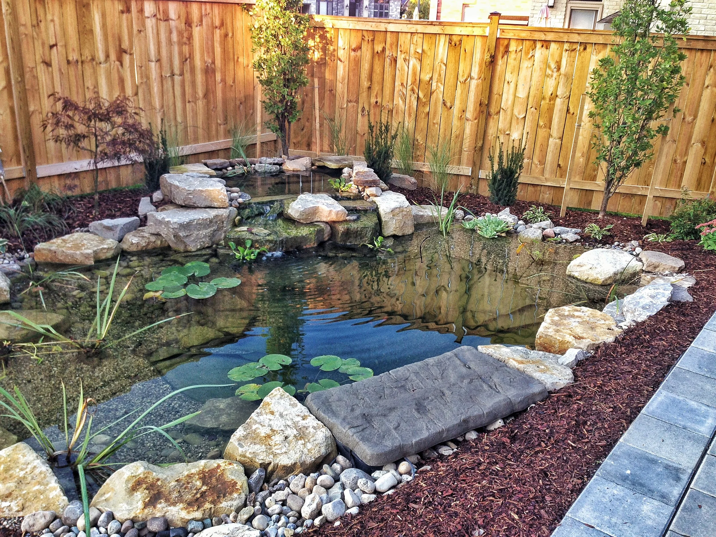 Springbank Landscapes (42)-01.jpeg