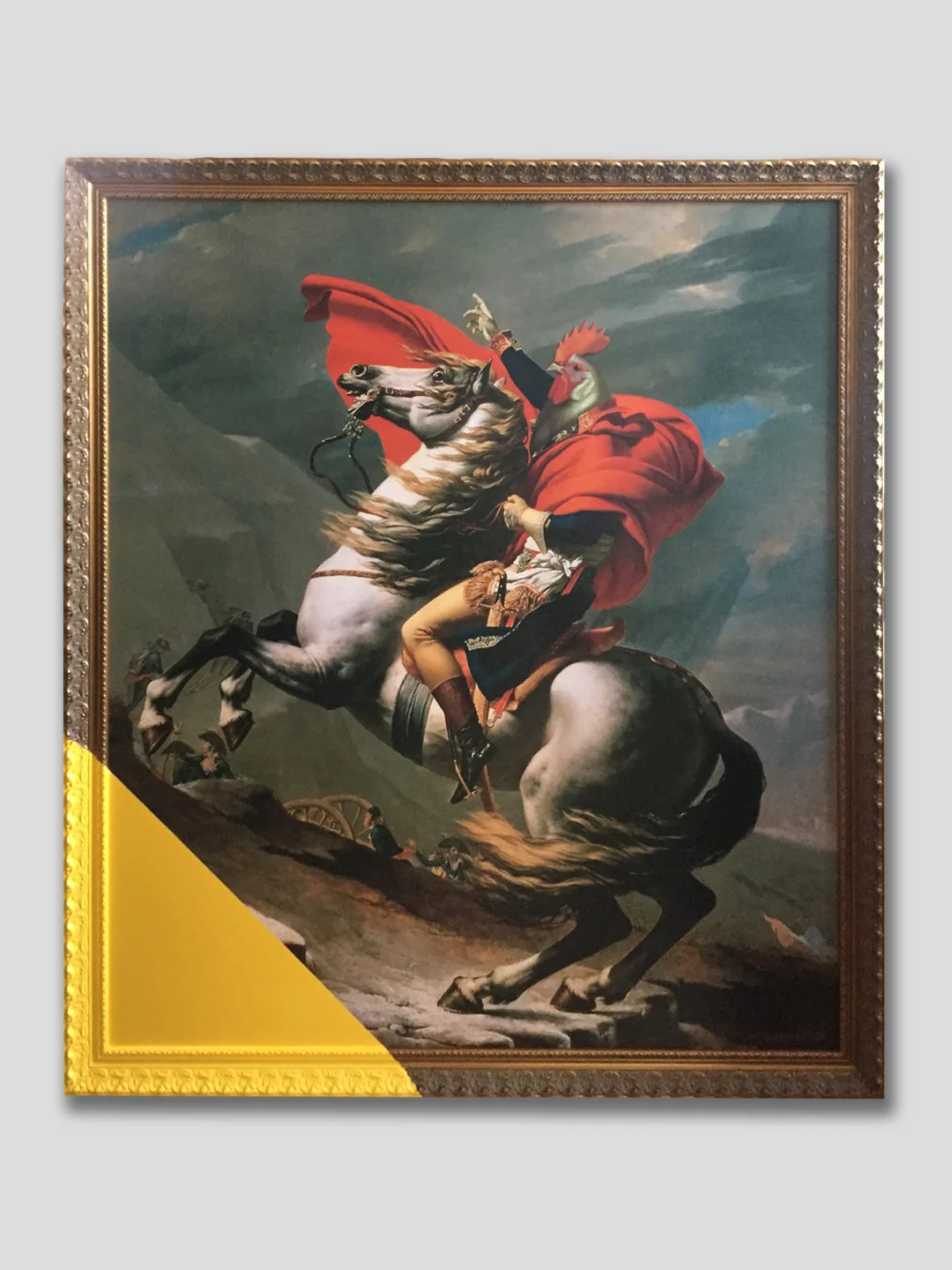 napoleon-dynoflight.jpg