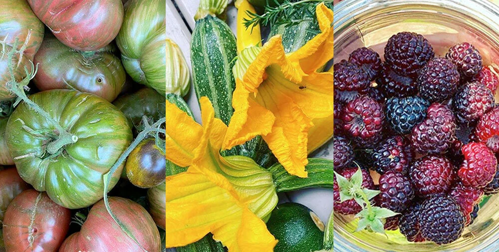 produce.jpg