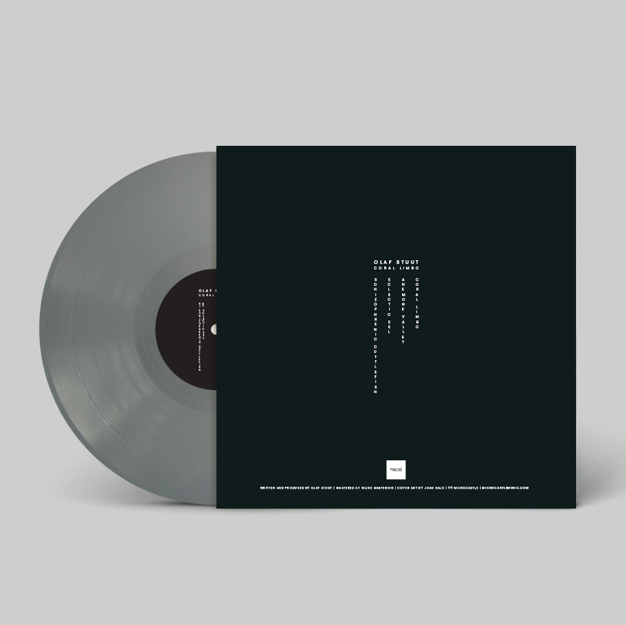coral limbo vinyl mock back-SQ.png