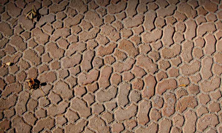 riccobene hardscape pavers