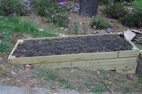 pressure treated lumber