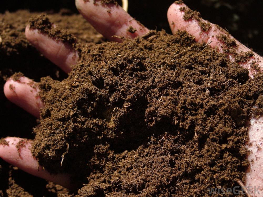 mulch