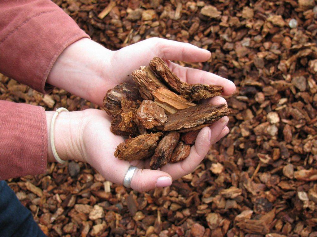 wood bark