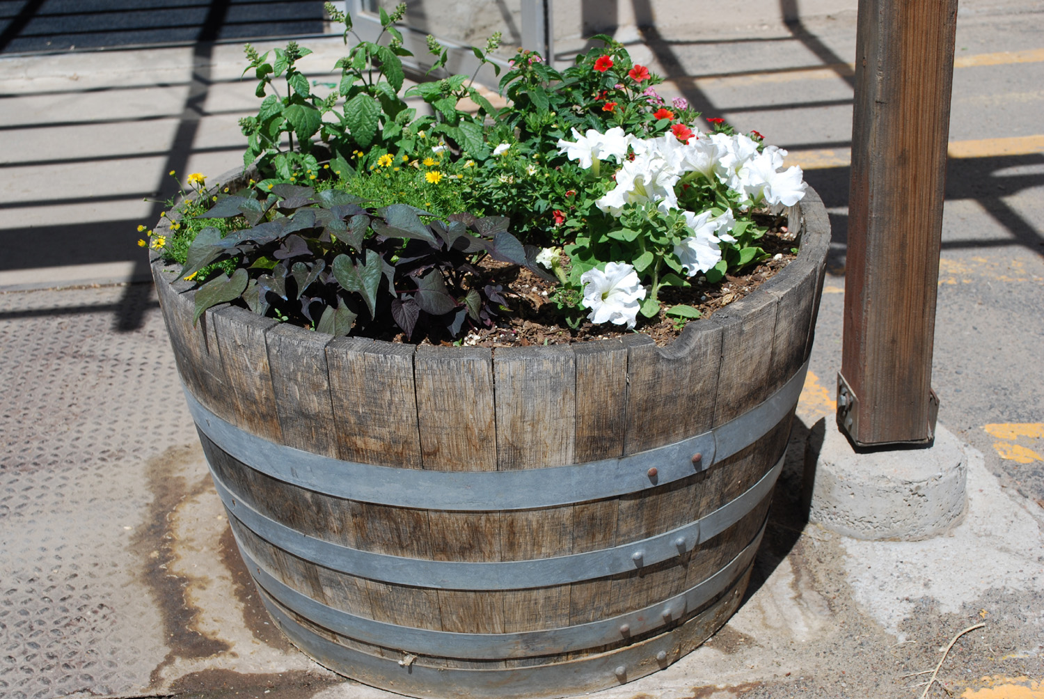 pl_WineBarreelDSC_0696hd.jpg