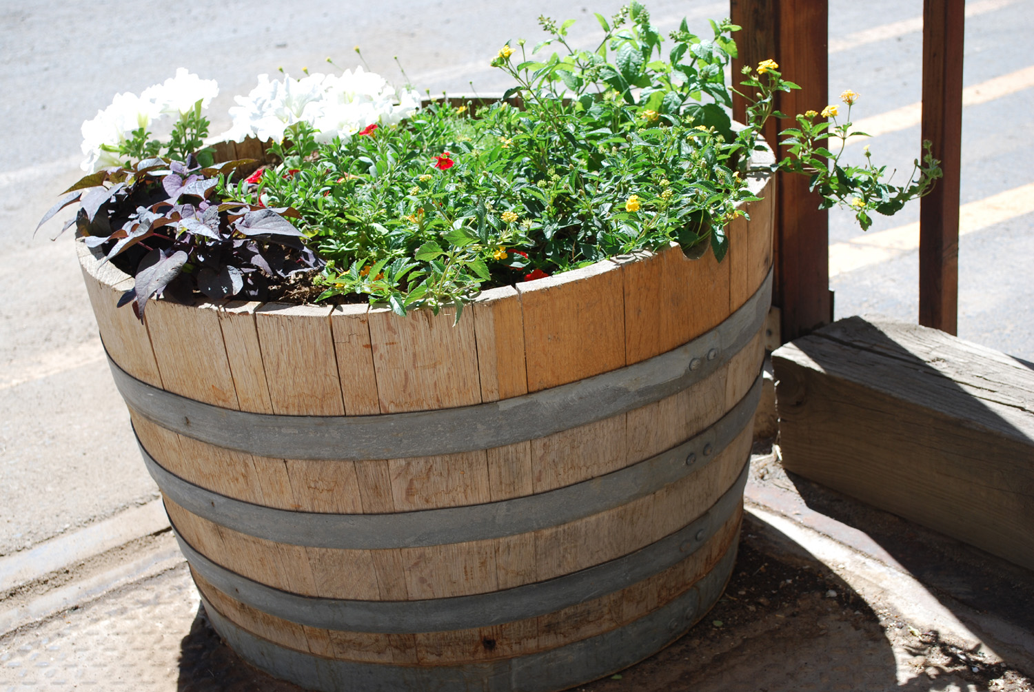 oak wine barrel planter